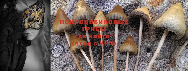 ALPHA PVP Белокуриха