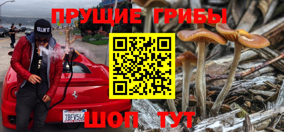 Псилоцибиновые грибы мицелий Белово